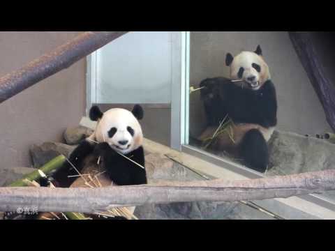 優浜&海浜 お食事中