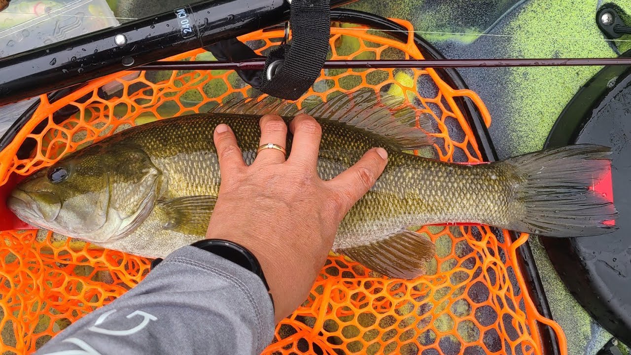 Fishing for native Smallmouth bass in North Georgia