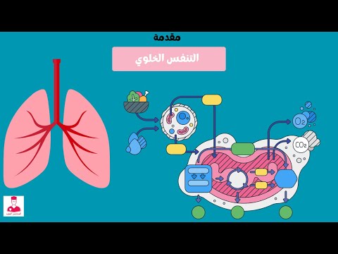 كيف تحصل الخلية علي الطاقة شرح التنفس الخلوي المقدمة عملة الطاقة في الخلية  