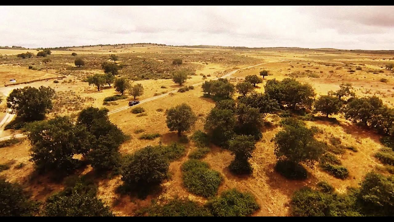 Primera prueba Micro Hexa - www.desdeelairerc.es