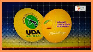 ODM accuses UDA of disrespect amid rising political tensions