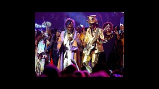 George Clinton - Funky kind (gonna knock it down)