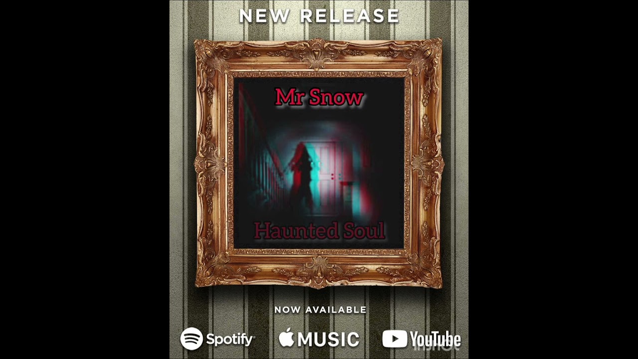 Mr snow - Haunted Soul