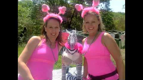 michelle & jodie's Avon Walk for Breast cancer BOS...