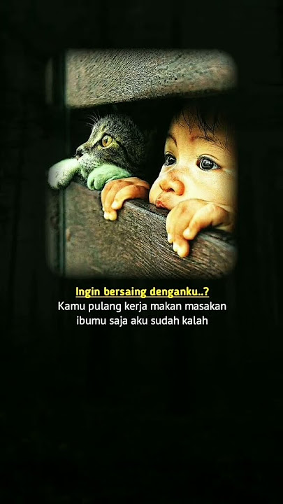 STORY WA 30 DETIK ✨ || STORY WA TERBARU 2023 || STORY WA 16 DETIK ||  STORY WA KEREN- All Story