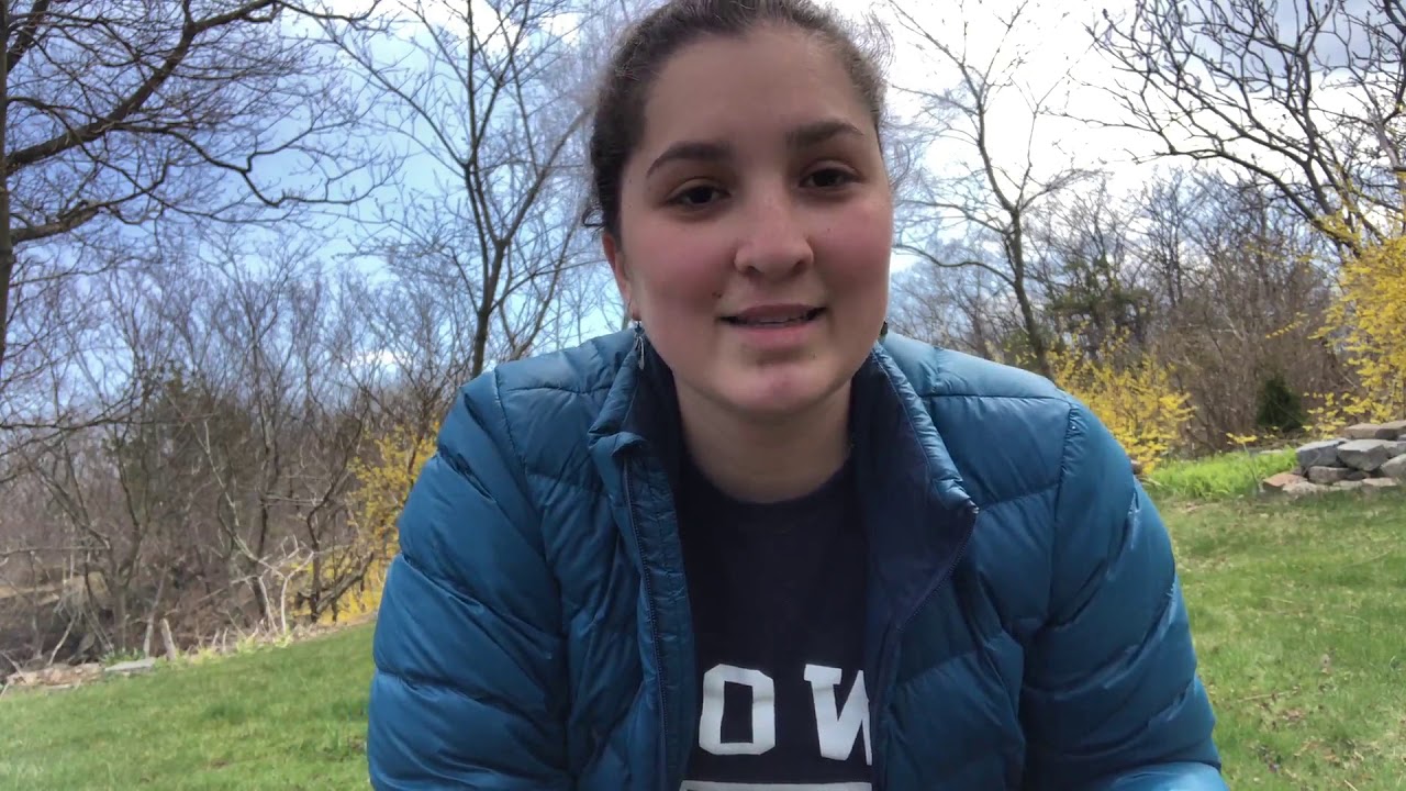 Backyard Bird Map YouTube