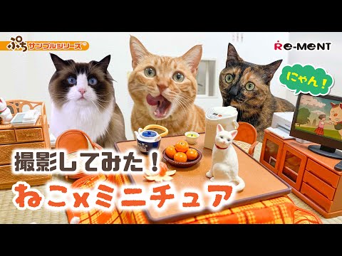 【緊急招集にゃん】ねこxミニチュア！？「奇跡の1枚」を撮ってみた！｜ぷちサンプルシリーズ 「やっぱり実家はいいもんだ。」 リーメント RE