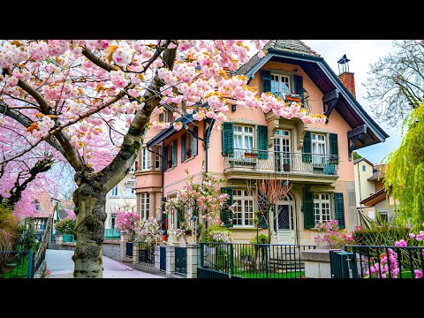 Видео: Прогулка по Цюриху, Швейцария 🇨🇭 Свежие весенние впечатления!