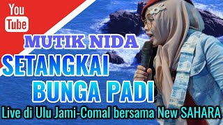 SETANGKAI BUNGA PADI - MUTIK NIDA