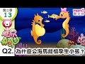 世界真奇妙S2 13 Q2 為什麼公海馬能懷孕生小孩呢 為什麼 為甚麼 WHY 孩子的疑問 Q A 學習新知長知識 教育問答 第二季 第13集 題目02 親子台 官方HD短版 Momokids 世界真奇妙S2 13 Q2 為什麼公海馬能懷孕生小孩呢 為什麼 為甚麼 WHY 孩子的疑問 Q A 學習新知長知識 教育問答 第二季 第13集 題目02 親子台 官方HD短版 Momokids