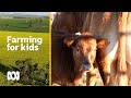 Farming for kids scholarship | Landline | ABC Australia