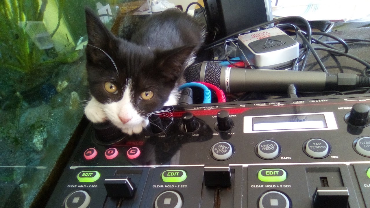 TIME MACHINE RAVE RESIDENT DJ ZEEZEE MORE ZEECORE CHOONAGE