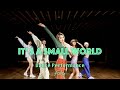 【Dance  Performance Video】FAKY / It&#39;s a small world