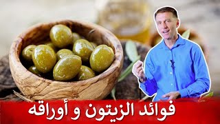 دكتور بيرج يشرح في فيديو فوائد الزيتون وزيت الزيتون