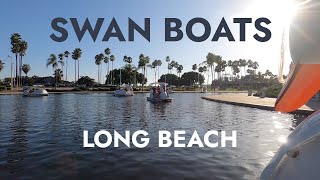 Rainbow Lagoon Swan Boats in Long Beach with Kids - Wheel Fun Rentals Paddle Boats