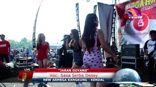 DANGDUT HOT..??  Desy_Tata_al artis #goyanghot _—Jaran Goyang