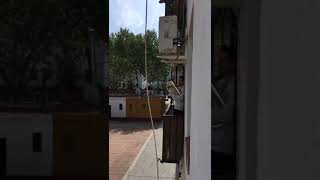 Baby Shark/ En er mundo desde el balcón 29/03/2020