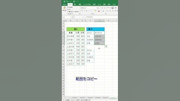 エクセルでコピー貼り付け #エクセル便利技 #エクセル #excel #エクセル時短ワザ #ecotechjp
