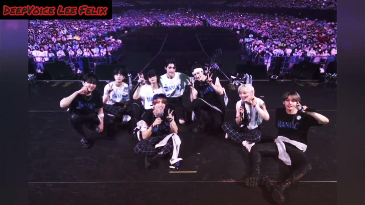 Stray Kids Concert