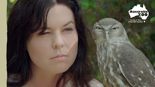 The owl that says Woof! | Australia Zoo Life