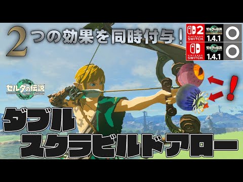 ゼルダの伝説 ティアーズ オブ ザ キングダム　2個 Amazon.co.jp: ゼルダの伝説 ティアーズ オブ ザ キングダム