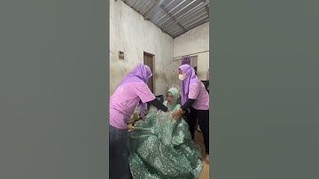 Tutorial Memakai gaun pengantin besar