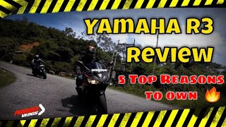 YAMAHA R3 OWNERSHIP REVIEW | OMG! Best R3 ever!