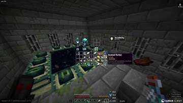 Minecraft 1.21.11 SMP (Java) IP in description