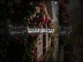 ويل لكل أفاك أثيم ❤️ تلاوة روحانية جميلة خاشعة ❤️ #قران_كريم