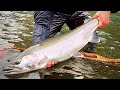 GIANT Steelhead Fishing & Winter Van Camping | BOBBER DOWNS