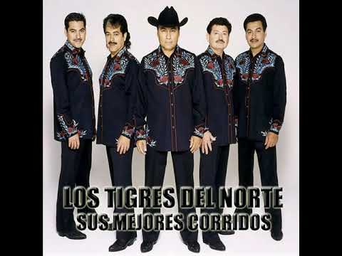 Mix tigres del norte Full By CristianDjTitino 2020 - YouTube