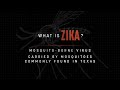 What Is Zika (2017) - English