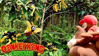 Donkey Kong Country: Zingers Teaser