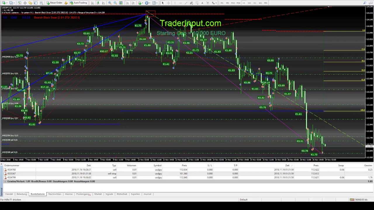 Forex trade live stream