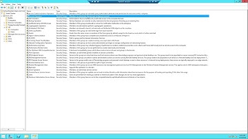 23  Delegation of Control