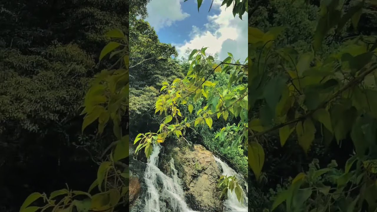 We All Need Nature Therapy Travel
