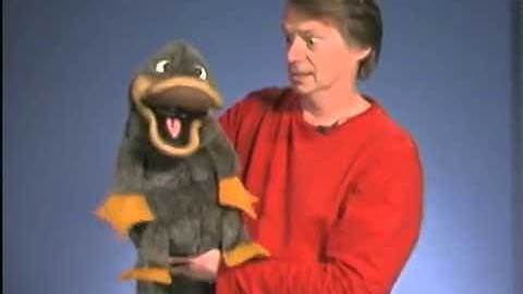 The P P Platypus Song by Steve Axtell    warning it