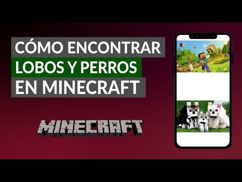 Cómo Encontrar Lobos y Perros en Minecraft y Cómo Domesticarlos