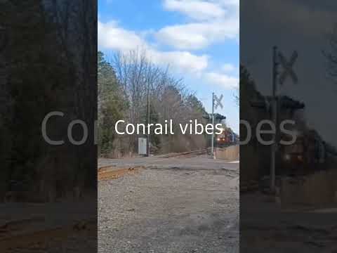 Vidéo: Quel âge a conrail ?