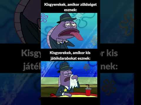 Videó: Miért eszik a kutyák furcsa dolgokat?