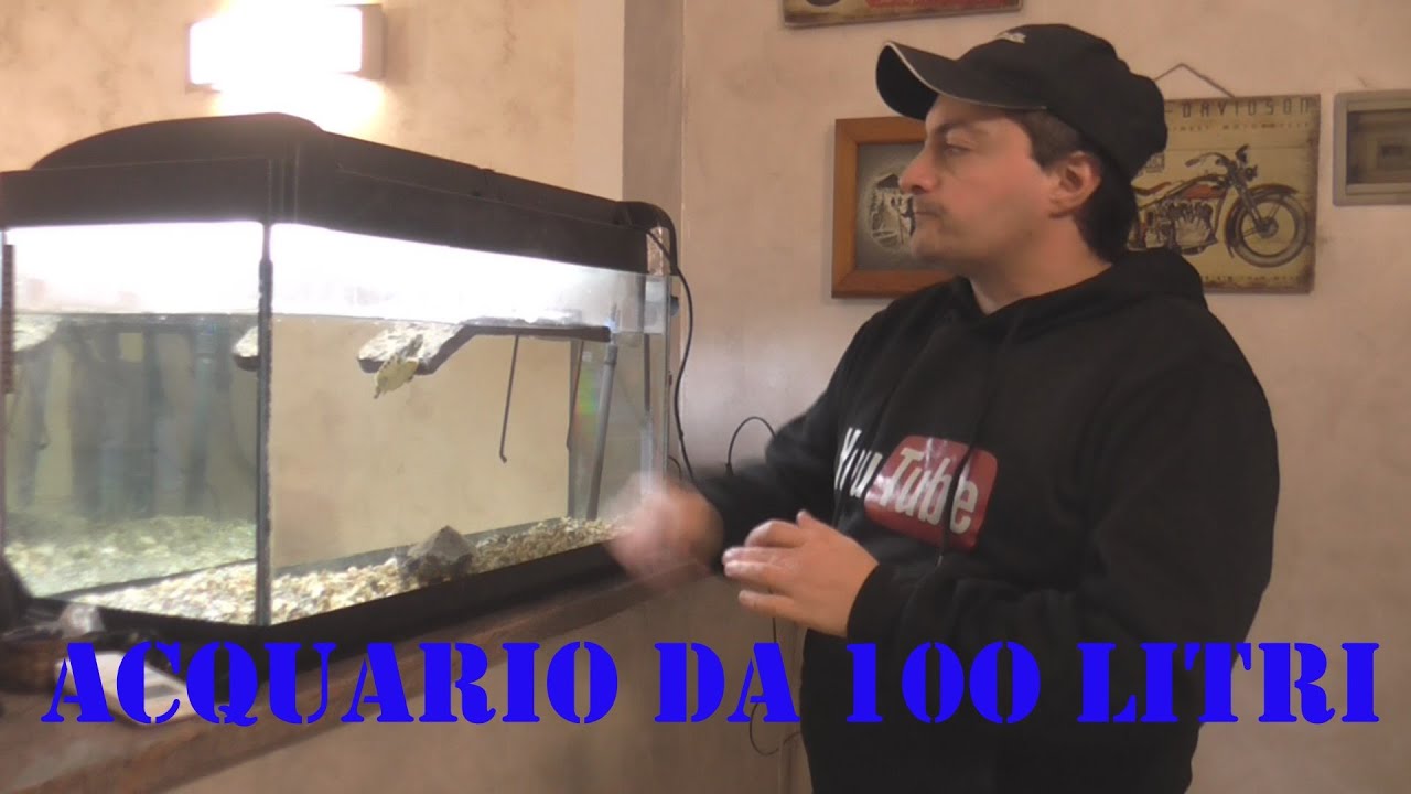 HO COMPRATO UN ACQUARIO DA 100 LITRI CIRCA - YouTube