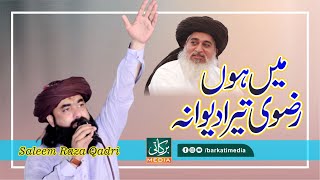 Main Hoon Rizvi Tera Deewana | New Rizvi Kalam | New tarana  Saleem Raza Qadri TLP | Barkati Media |