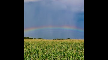 Thumbnail of I Can See Clearly Now by Sunup
