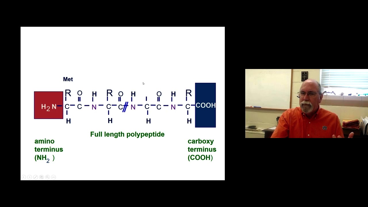 GG   Proteins Part 1