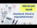 Understanding Number Forms and Notations