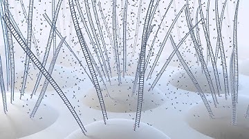 QIAGEN Next-generation sequencing