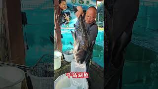 Big Fish Packing Process  Fresh Seafood Handling U0026 Export Packing 
