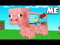 Minecraft Mobs If You Could LIVE Inside Them