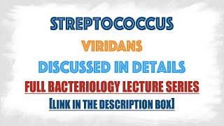 Streptococcus viridans or Viridans Streptococci : clinical manifestations,Lab diagnosis