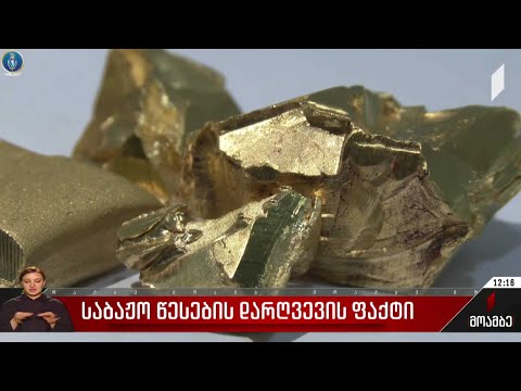 საბაჟო წესების დარღვევის ფაქტი